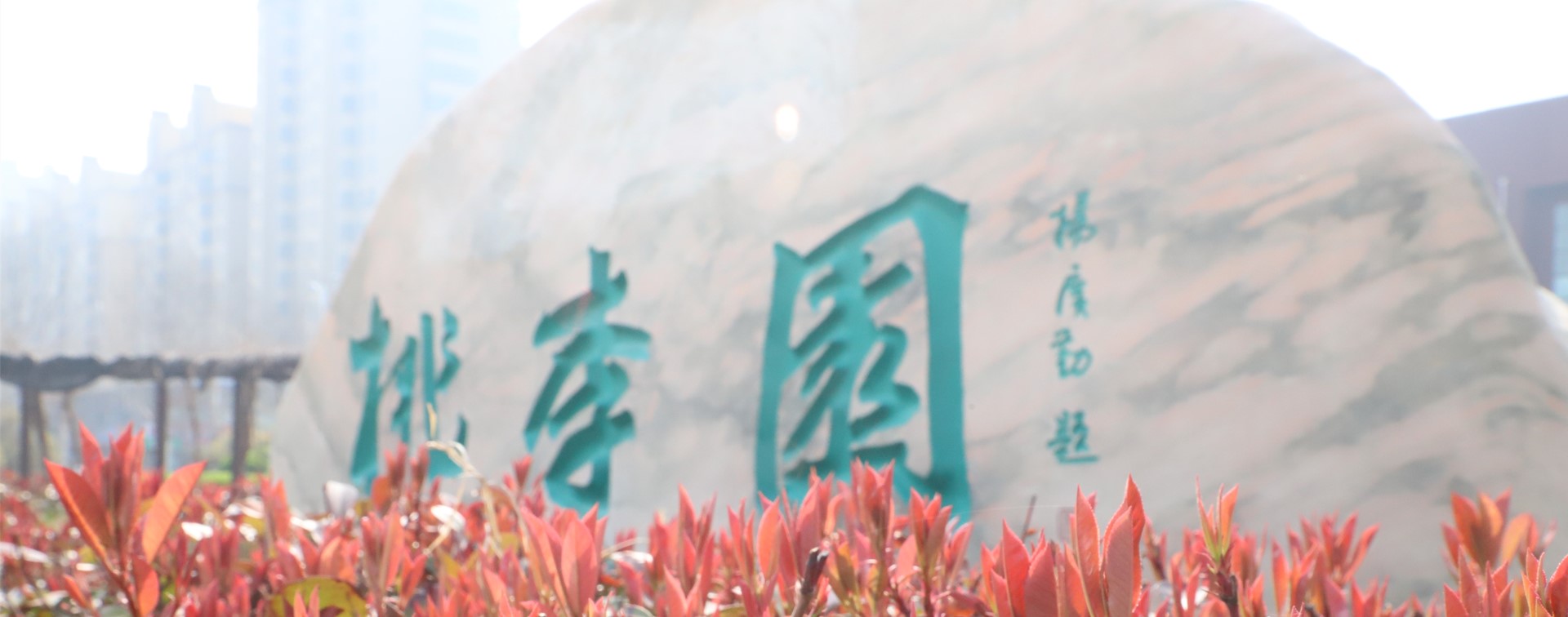 华人策略celue地址